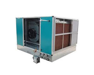 FDV and FAN